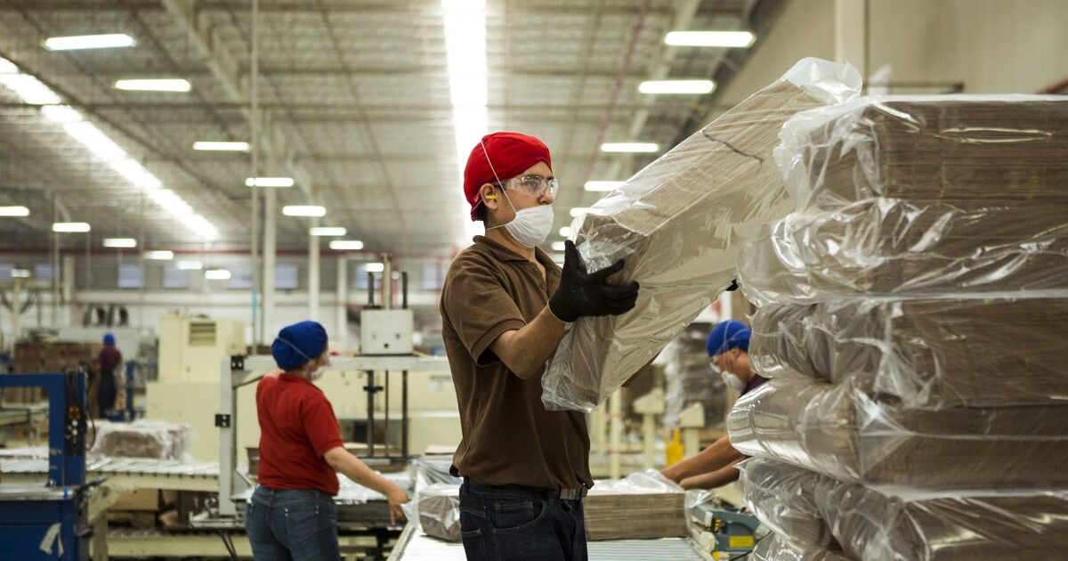 ¿Por qué son importantes las empresas en la economía?